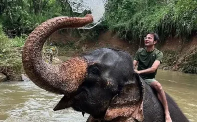 فیل بازی امیر